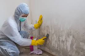 Best Water Damage & Mold Remediation  in Avondale Estates, GA